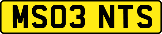 MS03NTS