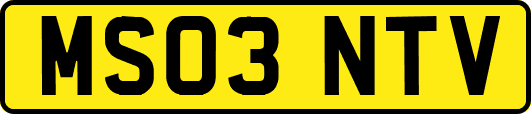 MS03NTV