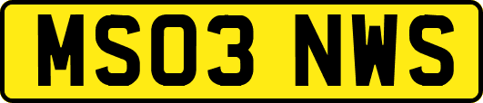 MS03NWS
