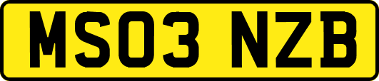 MS03NZB