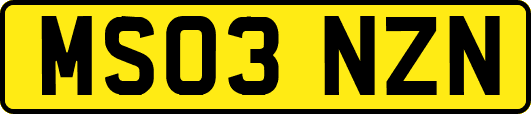 MS03NZN
