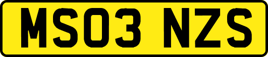 MS03NZS