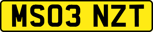 MS03NZT