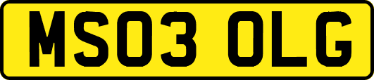 MS03OLG