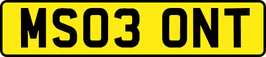 MS03ONT