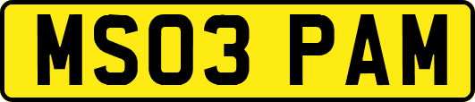 MS03PAM