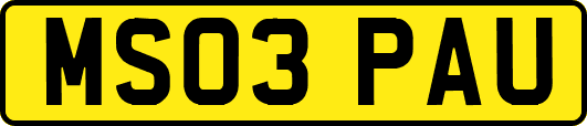 MS03PAU