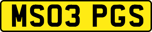 MS03PGS