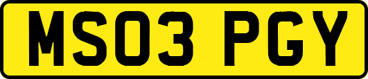 MS03PGY