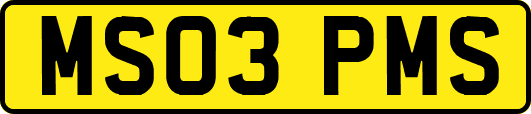 MS03PMS