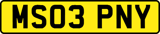 MS03PNY