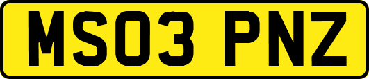 MS03PNZ