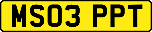 MS03PPT