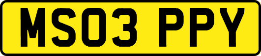 MS03PPY