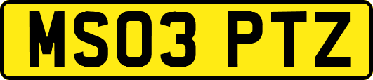 MS03PTZ