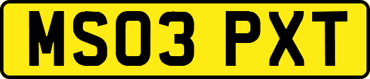 MS03PXT