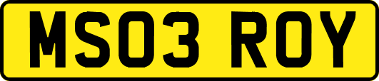 MS03ROY
