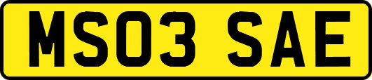 MS03SAE