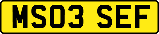 MS03SEF
