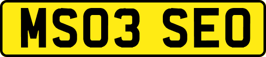MS03SEO