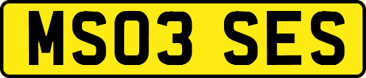 MS03SES