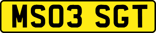 MS03SGT