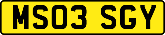 MS03SGY