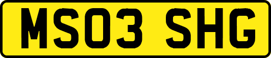 MS03SHG
