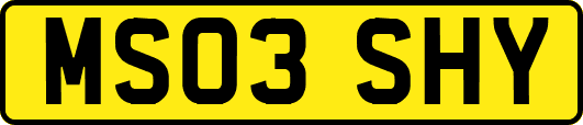 MS03SHY