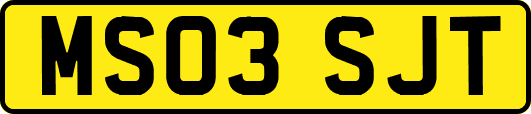 MS03SJT