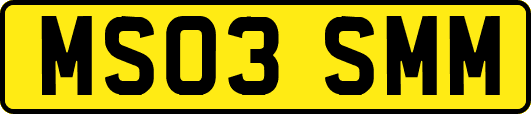 MS03SMM