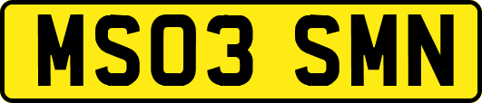 MS03SMN