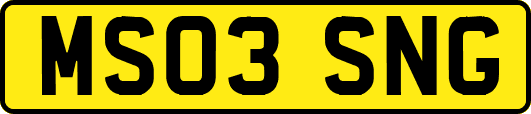 MS03SNG
