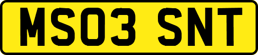 MS03SNT