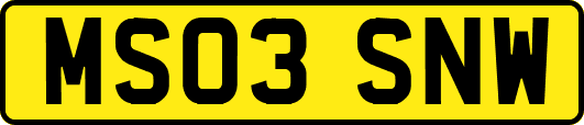 MS03SNW