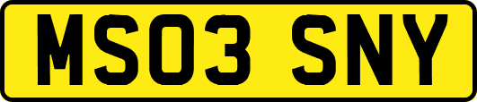 MS03SNY