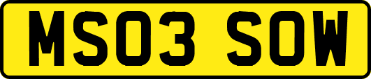 MS03SOW