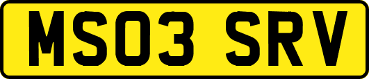 MS03SRV