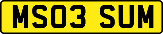 MS03SUM