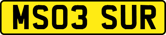 MS03SUR