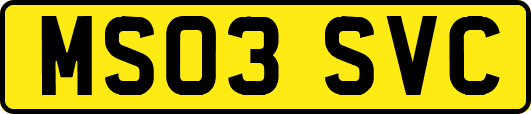 MS03SVC