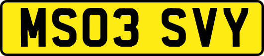 MS03SVY