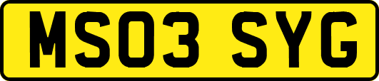 MS03SYG