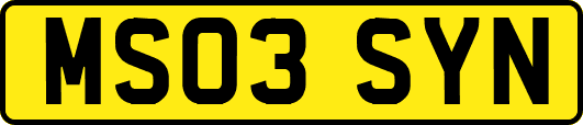 MS03SYN