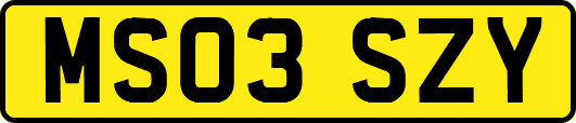 MS03SZY