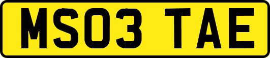 MS03TAE