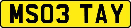 MS03TAY