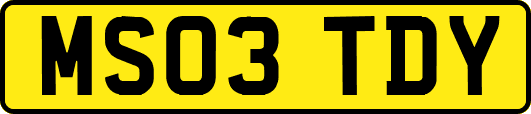 MS03TDY