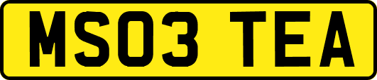 MS03TEA
