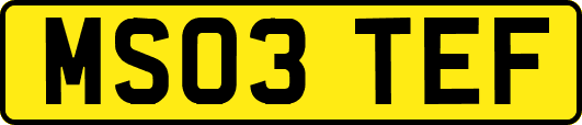 MS03TEF
